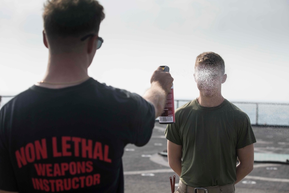 Marines endure the OC Spray Confidence Course