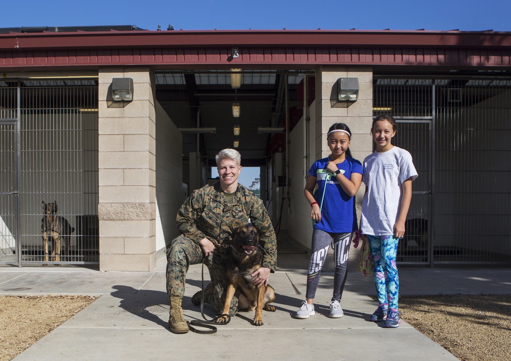 Through the eyes of the handler: MCAS Miramar dog handler gets an interview