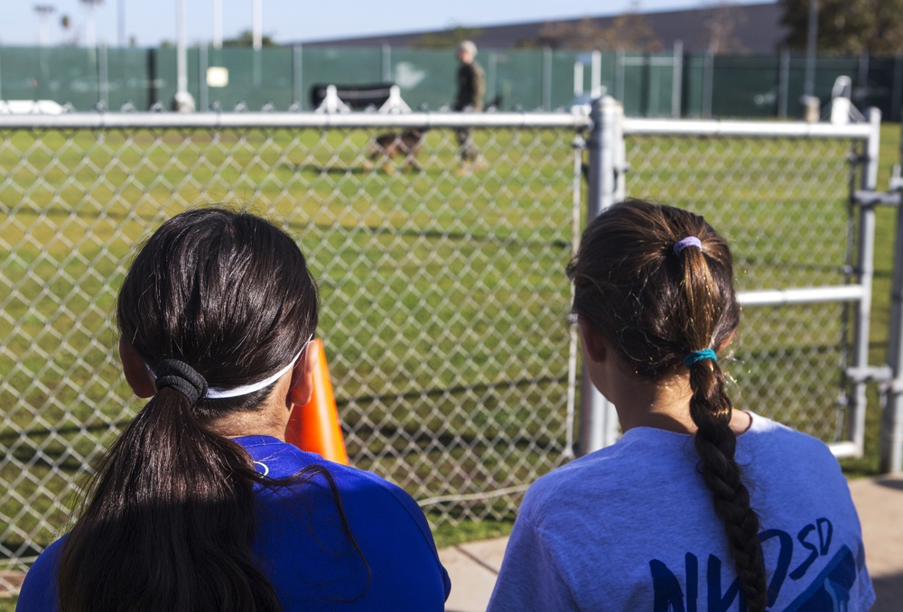 Through the eyes of the handler: MCAS Miramar dog handler gets an interview