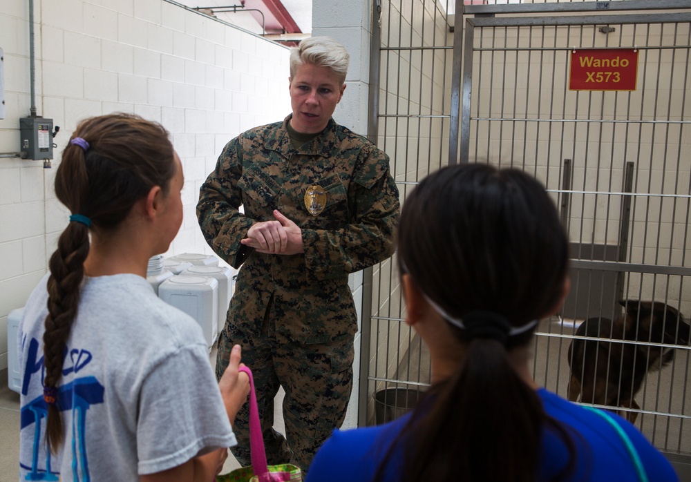 Through the eyes of the handler: MCAS Miramar dog handler gets an interview