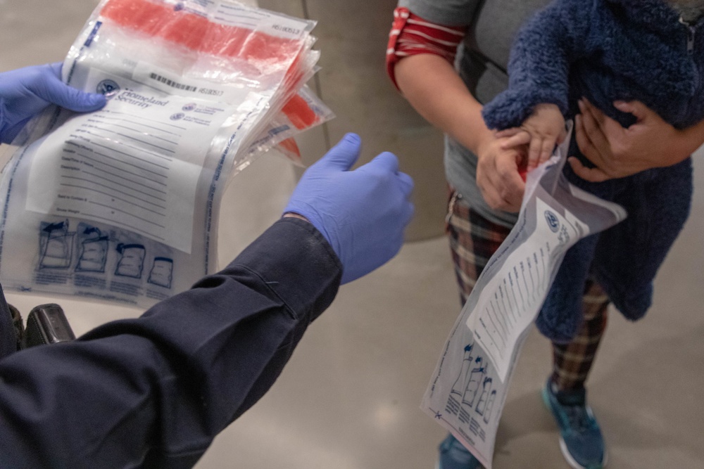 Processing at the San Ysidro Port of Entry