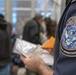 Processing at the San Ysidro Port of Entry