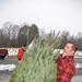 Airmen, Soldiers Lend Hand for Trees for Troops