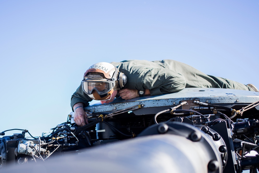 Realistic Urban Training: ACE Support