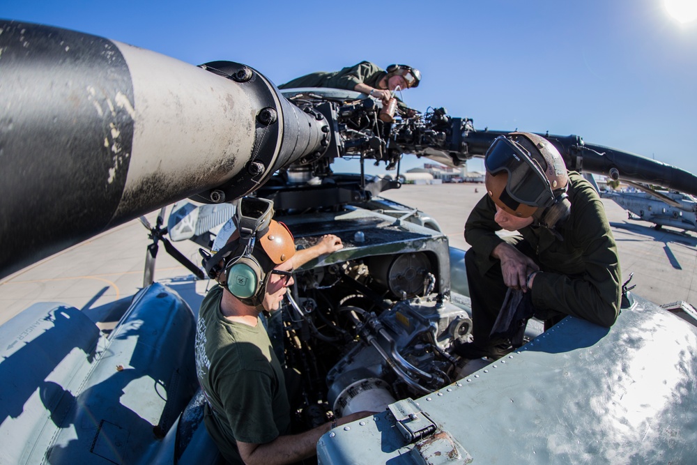 Realistic Urban Training: ACE Support