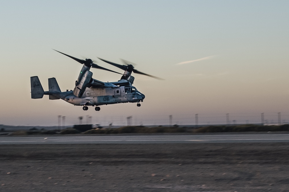 Realistic Urban Training: ACE Support