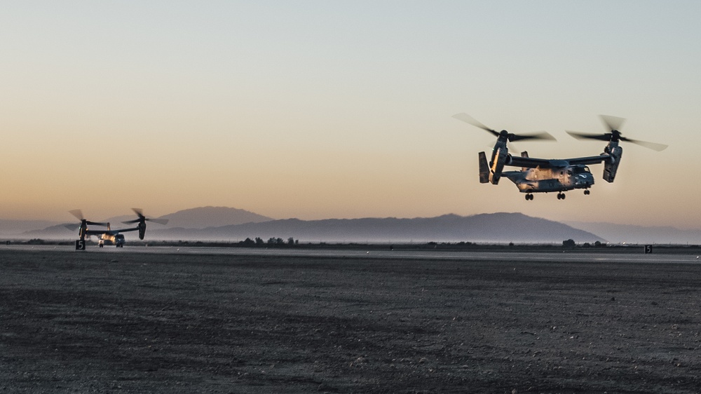 Realistic Urban Training: ACE Support