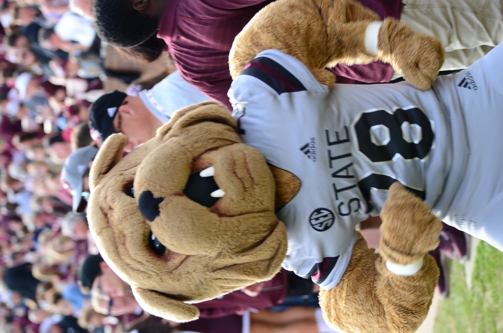 MSU's Bully Dons Military Tribute Uniform