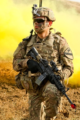 "Cobra" Company, Georgian Armed Forces fight side-by-side