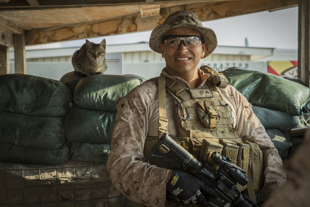 ACMC Visits Marines and Sailors with 5th Marine Expeditionary Brigade