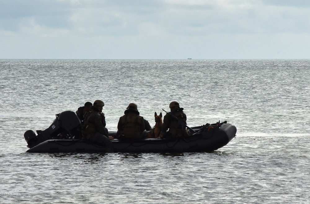 MARSOC K-9 Training at NAS Key West