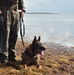 MARSOC K-9 Training at NAS Key West