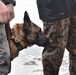 MARSOC K-9 Training at NAS Key West