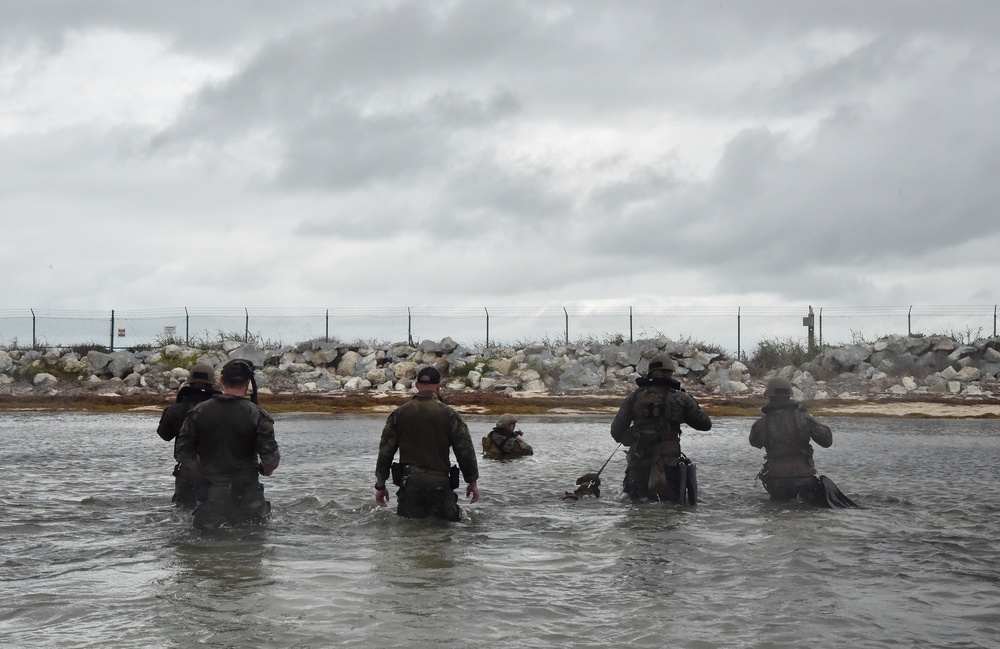 MARSOC K-9 Training at NAS Key West