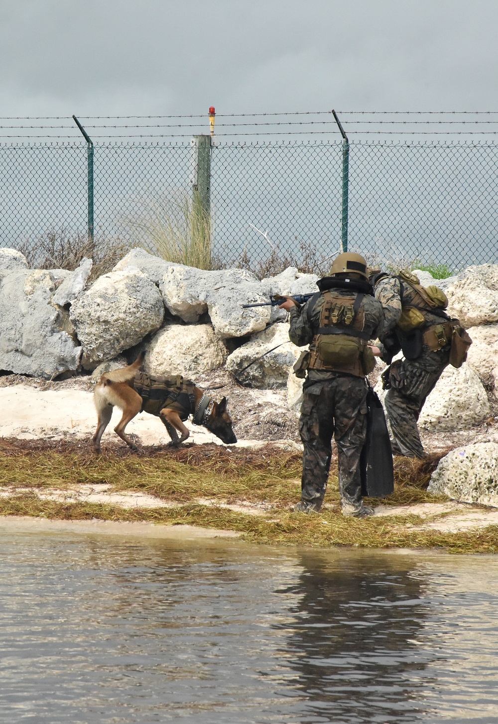 MARSOC K-9 Training at NAS Key West