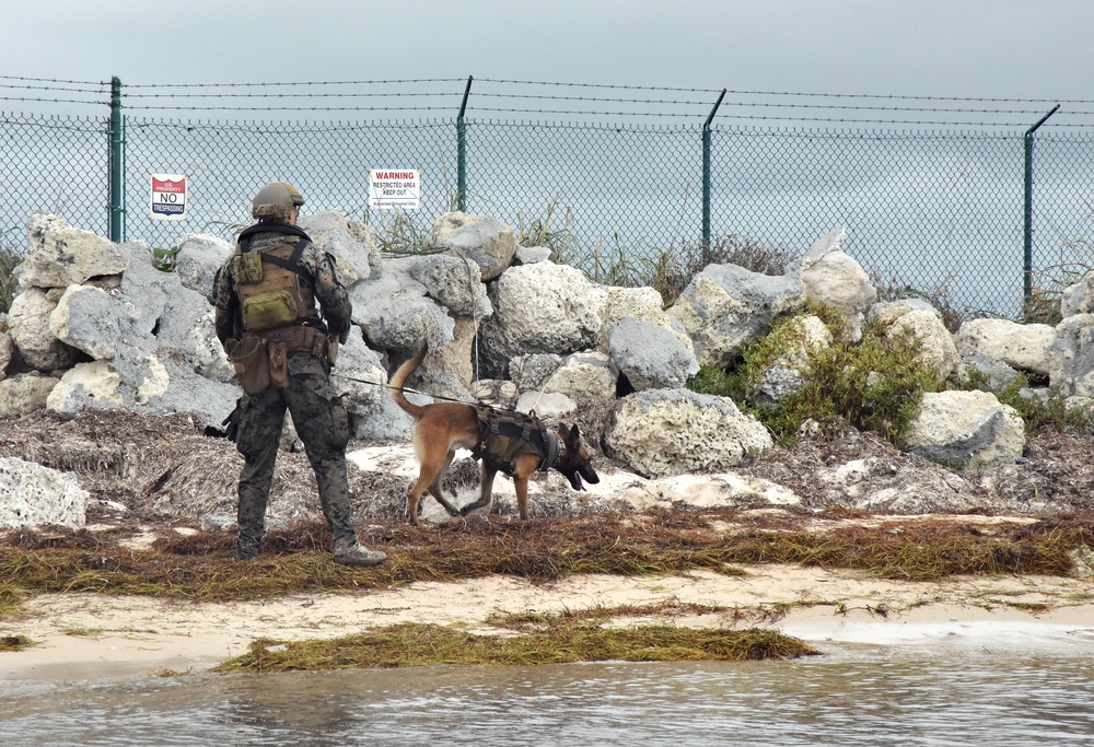 MARSOC K-9 Training at NAS Key West