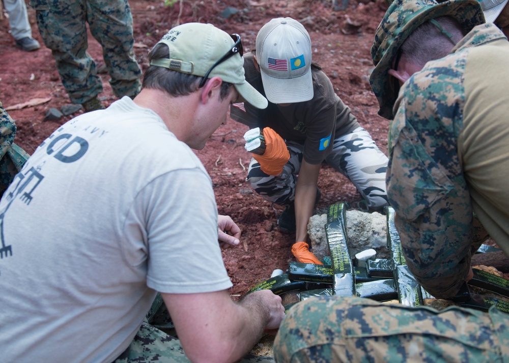 EODMU 5 Det Marianas conducts training with Palau Bureau of Public Works
