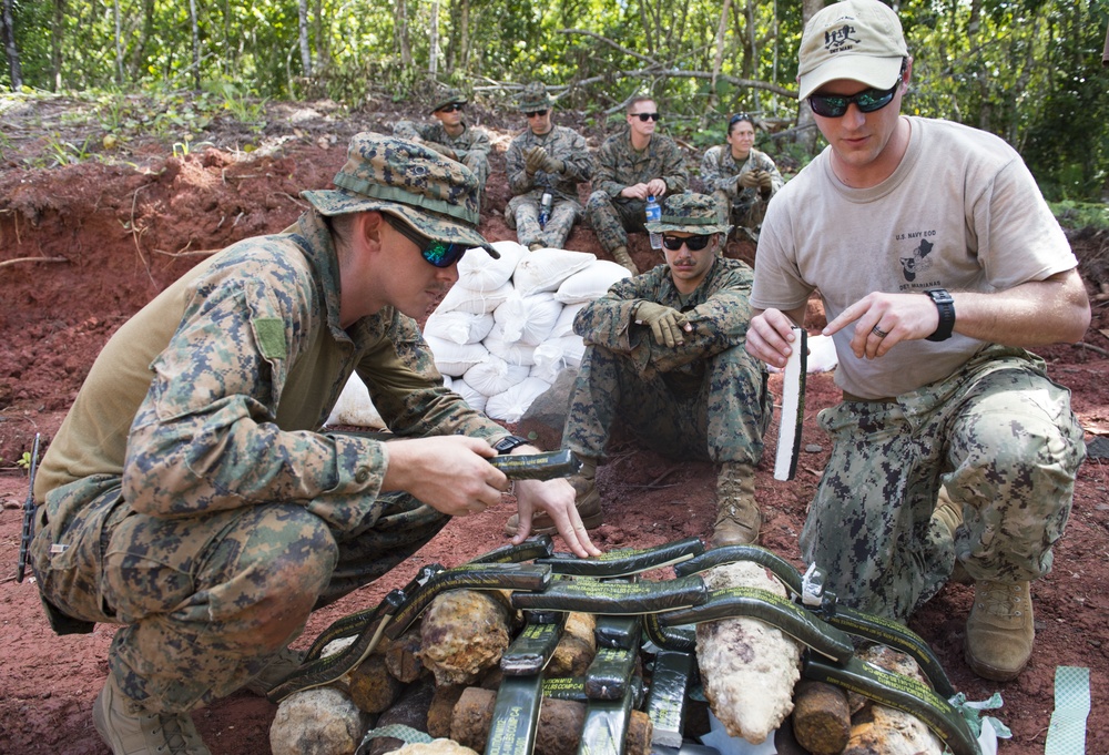EODMU 5 Det Marianas conducts training with Palau Bureau of Public Works