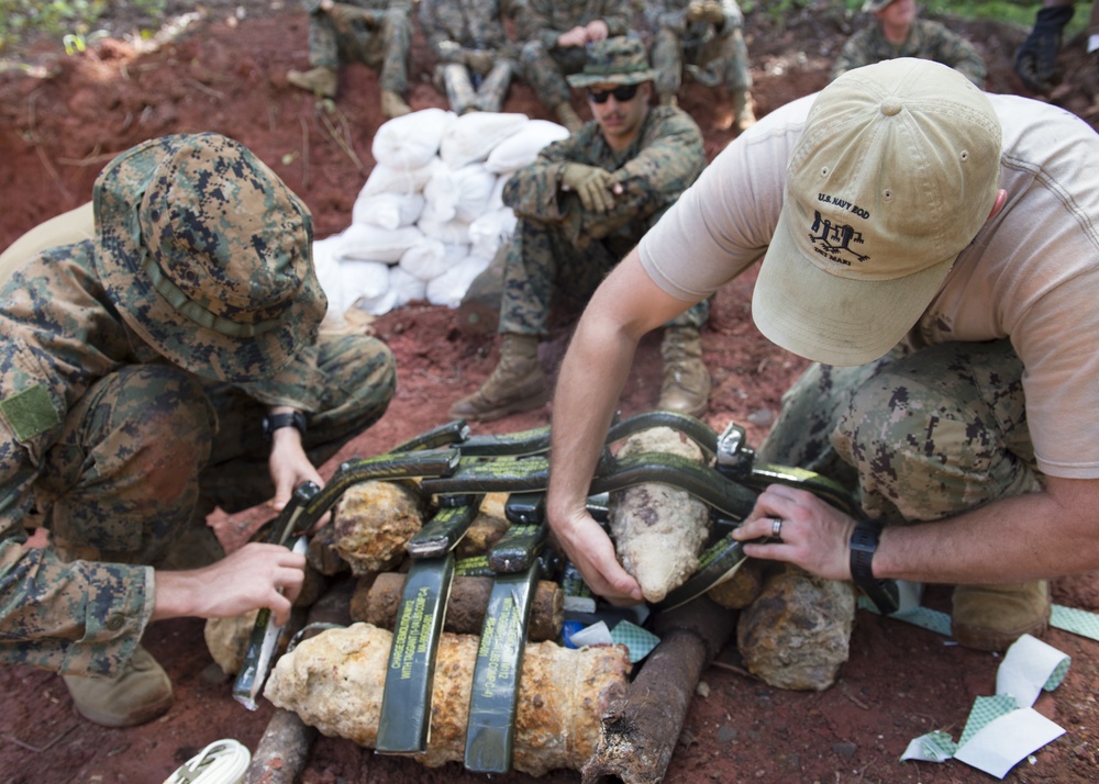 EODMU 5 Det Marianas conducts training with Palau Bureau of Public Works