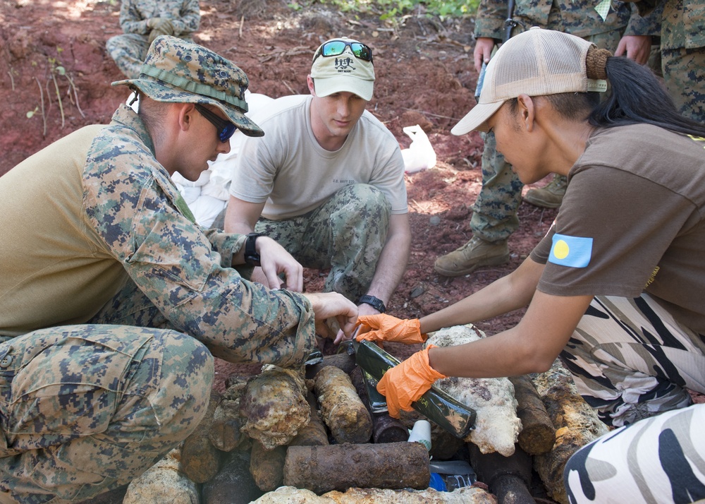 EODMU 5 Det Marianas conducts training with Palau Bureau of Public Works
