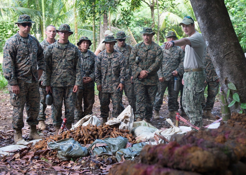 EODMU 5 Det Marianas conducts training with Palau Bureau of Public Works