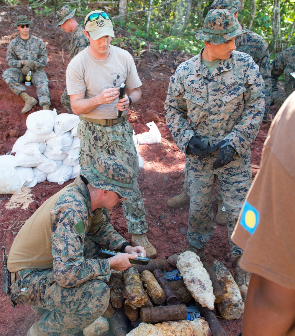 EODMU 5 Det Marianas conducts training with Palau Bureau of Public Works