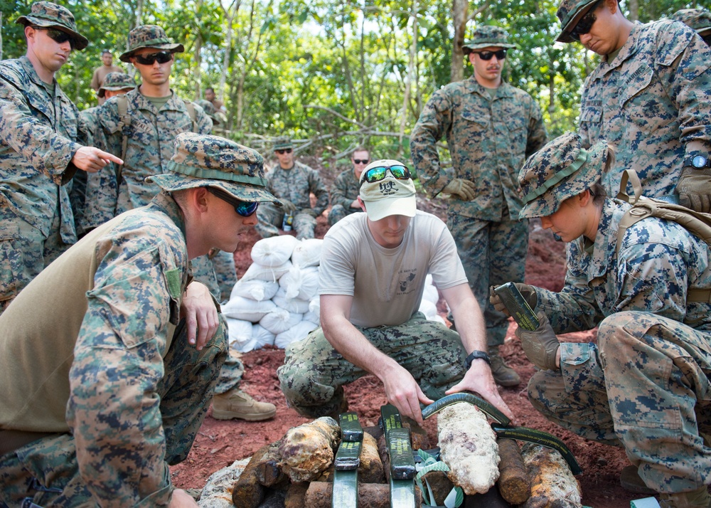 EODMU 5 Det Marianas conducts training with Palau Bureau of Public Works