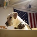 Unit Ministry Dog Boosts Morale