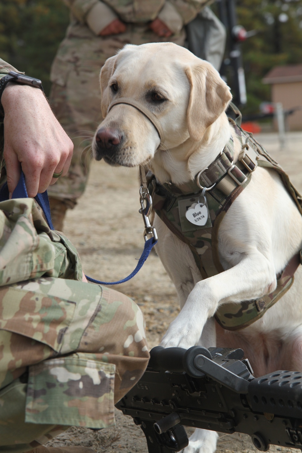 Unit Ministry Dog Boosts Morale