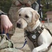 Unit Ministry Dog Boosts Morale