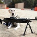Unit Ministry Dog Boosts Morale