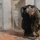 Fort Carson Best Sapper Competition 2018