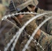 1st CEB Marines Fortify the California-Mexico Border at Imperial Beach
