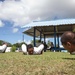 Koa Moana Visits Palau Schools