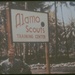 The Alamo Scouts