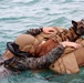 MARSOC K-9 training at NAS Key West