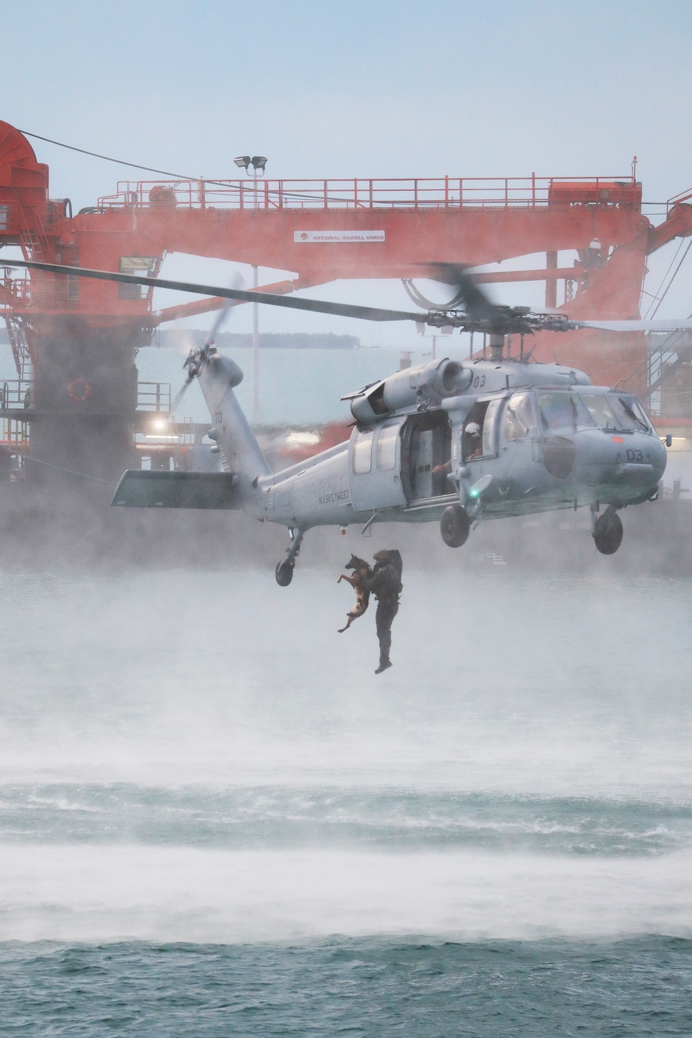 MARSOC K-9 training at NAS Key West