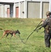 MARSOC K-9 training at NAS Key West