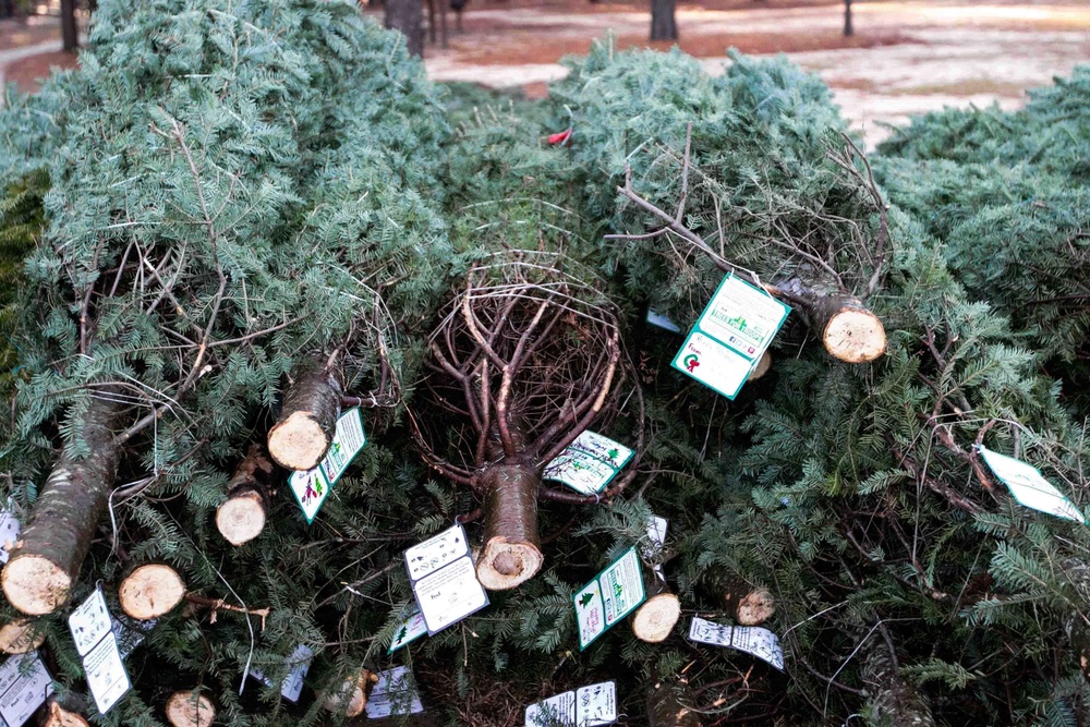 "Trees for Troops" sponsored by BOSS