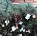"Trees for Troops" sponsored by BOSS