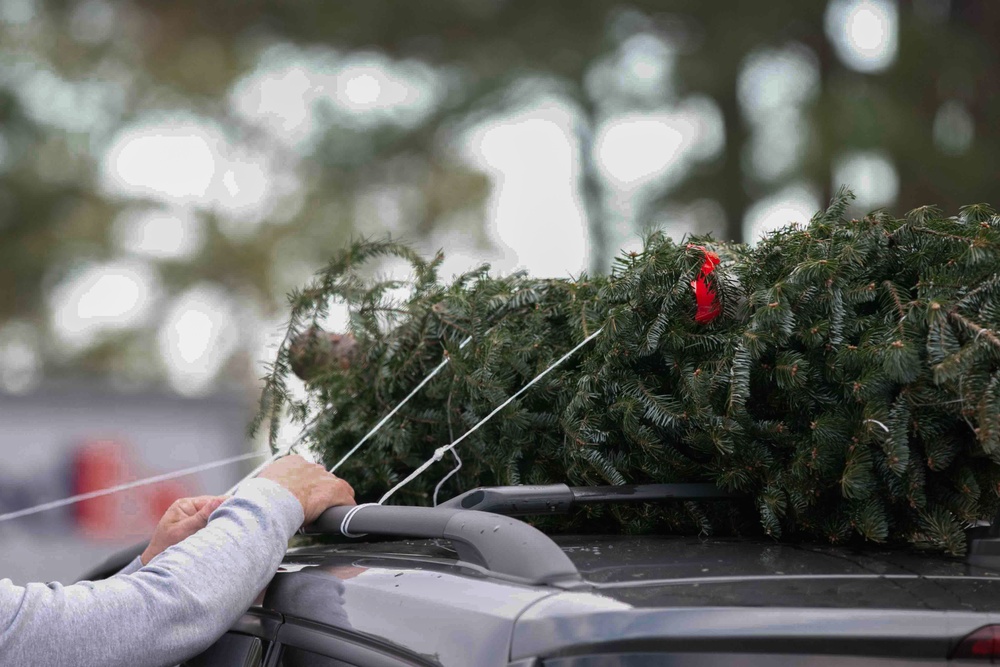 "Trees for Troops" sponsored by BOSS