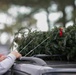 "Trees for Troops" sponsored by BOSS