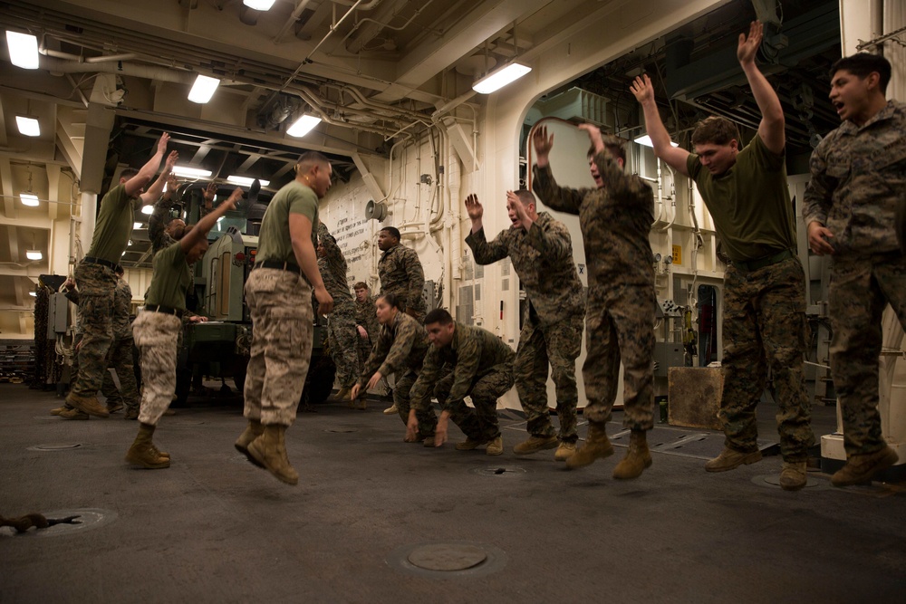 USS Anchorage Marine Corps Martial Arts Program