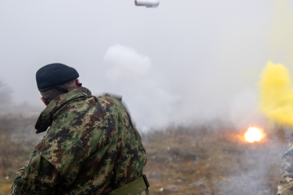 Multinational smoke grenade training at exercise Combined Resolve XI