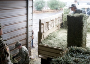 Bringing hope to Paradise, by the truckload