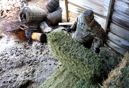 Bringing hope to Paradise, by the truckload