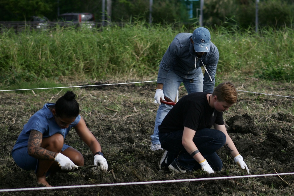 Kitanakagusuku Village prepares for Sunflower festival