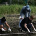Kitanakagusuku Village prepares for Sunflower festival