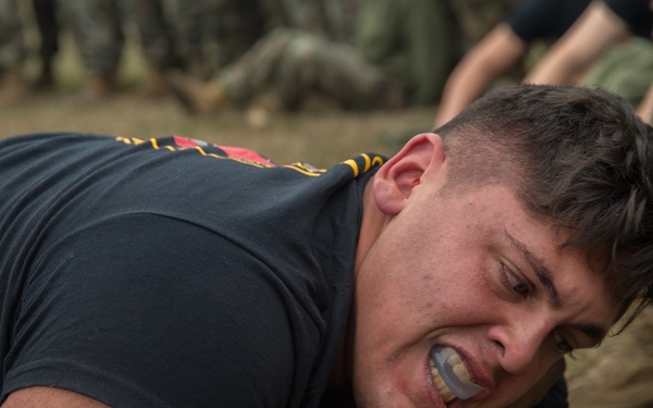 2nd TSB Commander's Cup