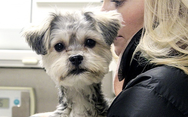 USAG Wiesbaden VTF: Ensuring Readiness!